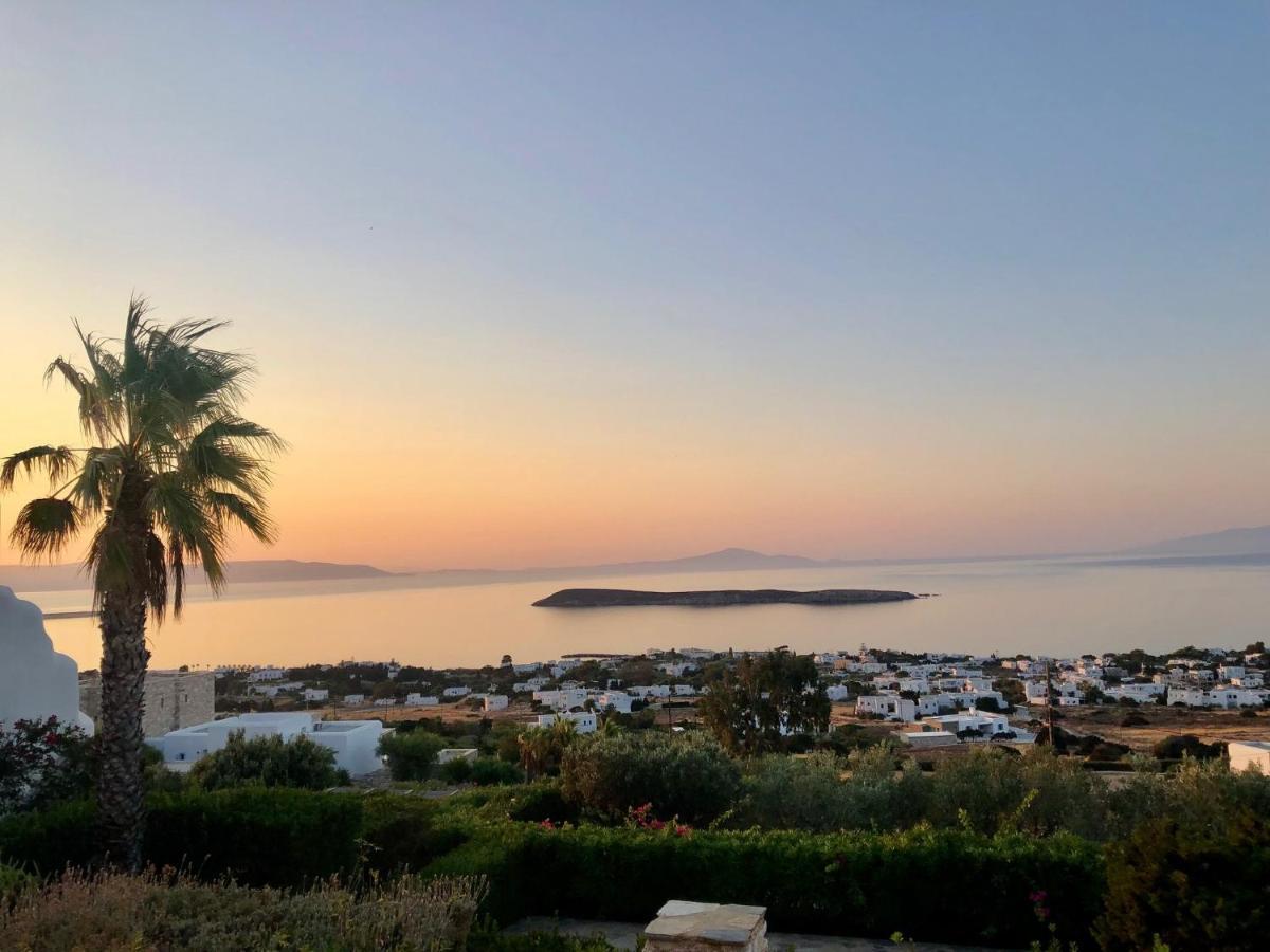 Villa Rossi Paros Luxury Apartments And Suites Drios Buitenkant foto