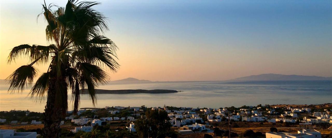 Villa Rossi Paros Luxury Apartments And Suites Drios Buitenkant foto