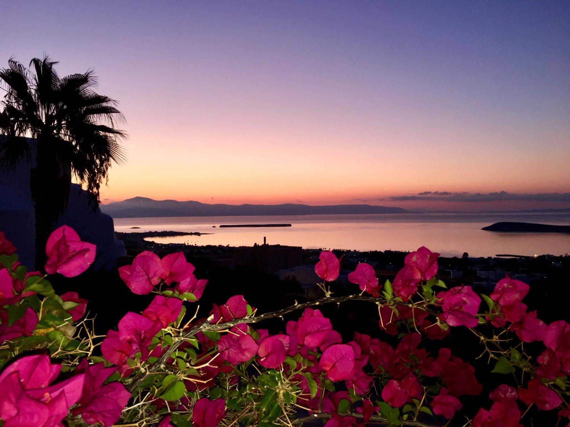 Villa Rossi Paros Luxury Apartments And Suites Drios Buitenkant foto